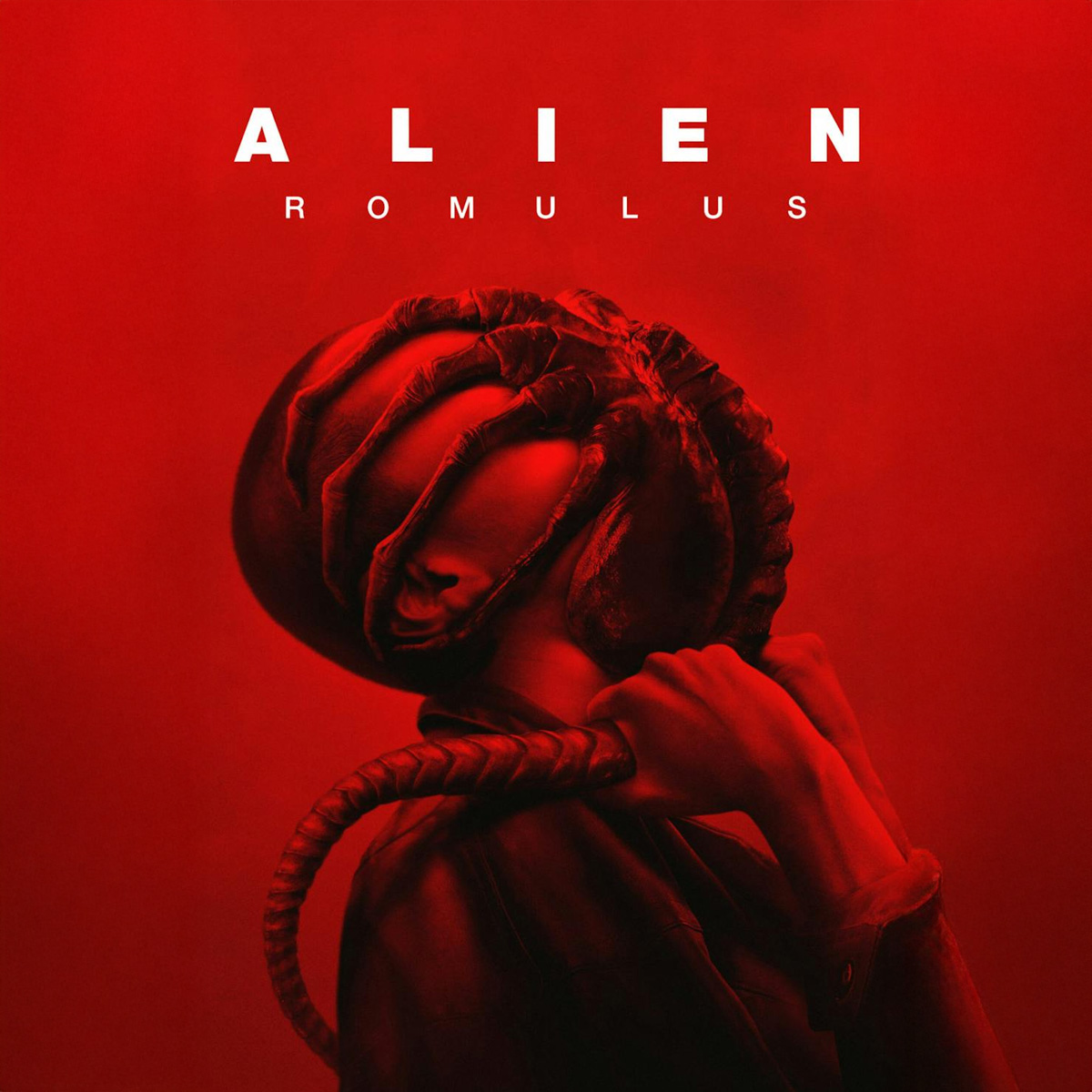 Alien: Romulus (2024) — Rook's Character
